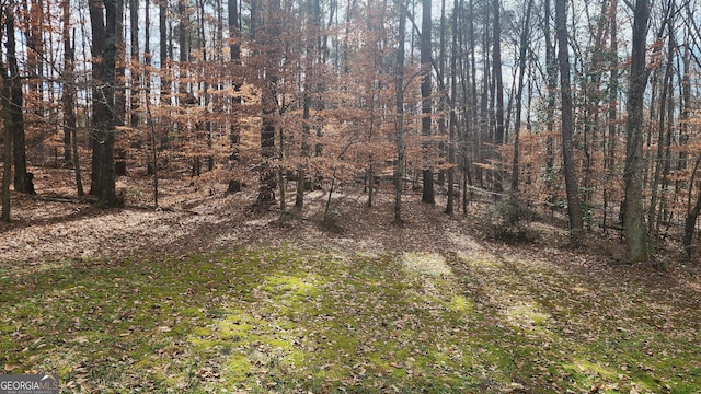 488 Morris Rd, Hiram, GA 30141 - view of nature