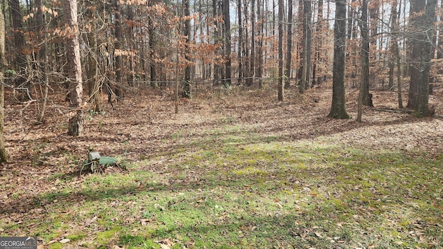488 Morris Rd, Hiram, GA 30141 - view of woods