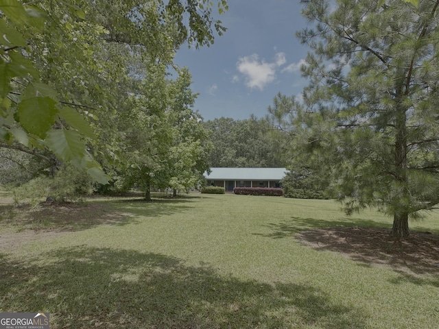 260 Willis Rd, Sharpsburg, GA 30277 - view of grassy yard
