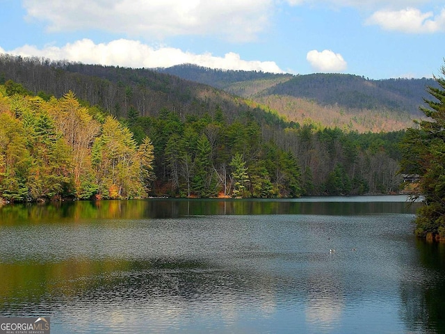 97 Eagles Nest Rd, Sautee Nacoochee, GA 30571 - water view with a forest and mountains