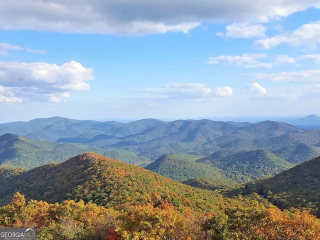 97 Eagles Nest Rd, Sautee Nacoochee, GA 30571 - mountain view featuring a forest