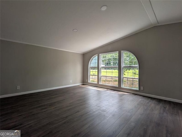 732 Five Points Rd, Buchanan, GA 30113 - spare room featuring vaulted ceiling, dark wood-type flooring, and ornamental molding