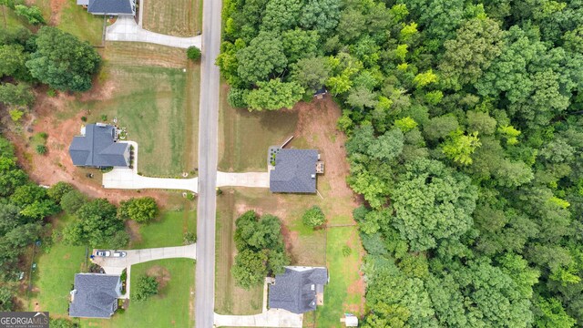 481 Hunter Welch Pkwy, Luthersville, GA 30251 - aerial view of property's location