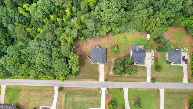 481 Hunter Welch Pkwy, Luthersville, GA 30251 - aerial view of property's location