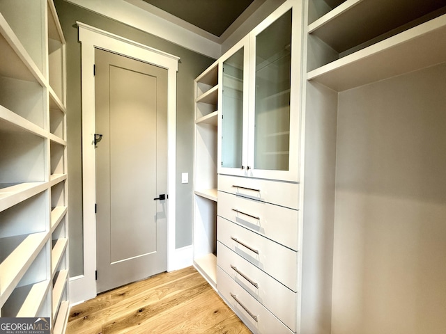 1005 Haddie Way, Alpharetta, GA 30004 - spacious closet with light wood-style floors