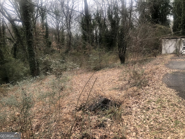 702 Emily Pl NW Unit 0, Atlanta, GA 30318 - view of nature