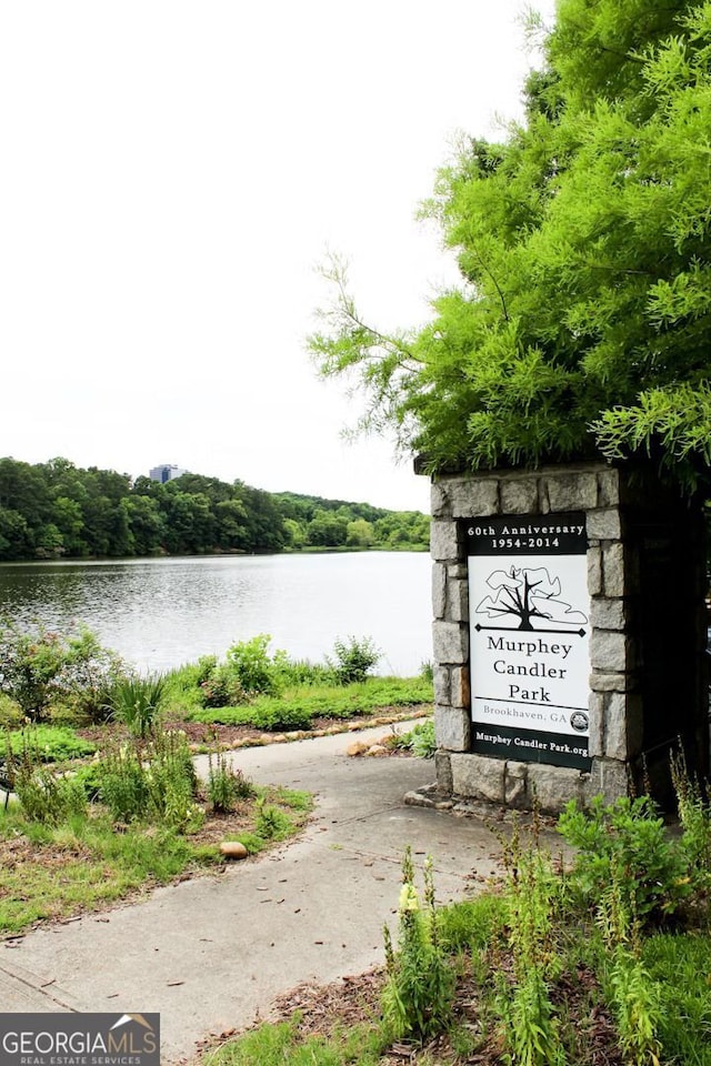 3912 Edenton Ct, Brookhaven, GA 30319 - water view