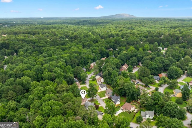 4818 Terrace Green Trce, Stone Mountain, GA 30088 - drone / aerial view of a forest