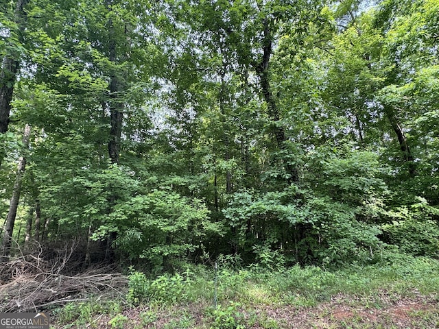 LOT24 Tomlin Rd, Commerce, GA 30530