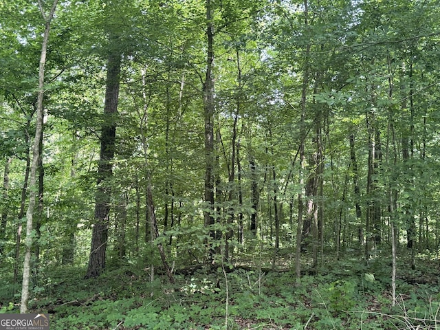 LOT24 Tomlin Rd, Commerce, GA 30530