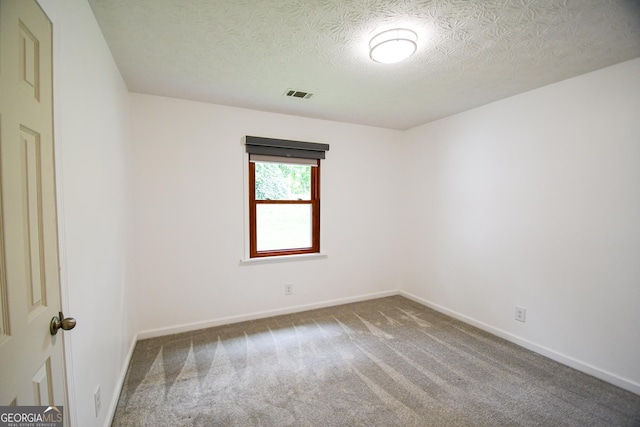 125 Point View Ct, Tyrone, GA 30290 - spare room with carpet and a textured ceiling