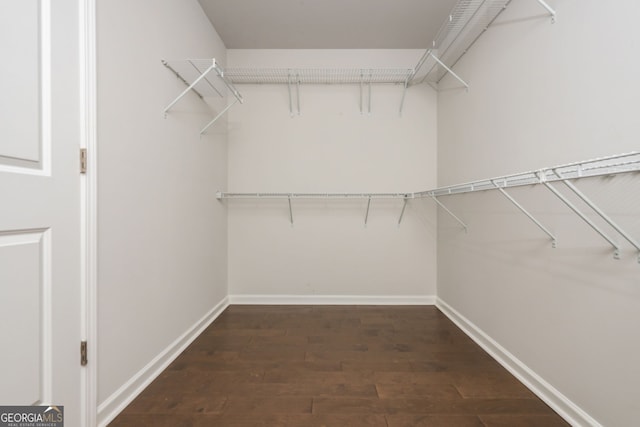 4583 Grenadine Cir, Acworth, GA 30101 - walk in closet with dark wood-style flooring