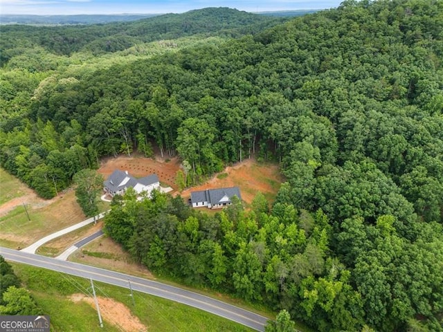 2716 Taylorsville Rd, Taylorsville, GA 30178 - bird's eye view of a forest