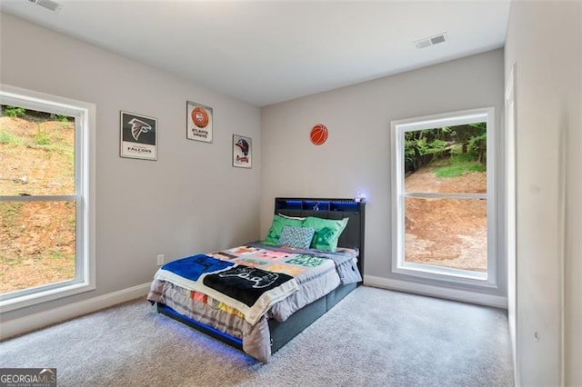 2716 Taylorsville Rd, Taylorsville, GA 30178 - carpeted bedroom featuring baseboards