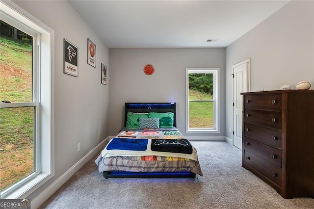 2716 Taylorsville Rd, Taylorsville, GA 30178 - view of carpeted bedroom