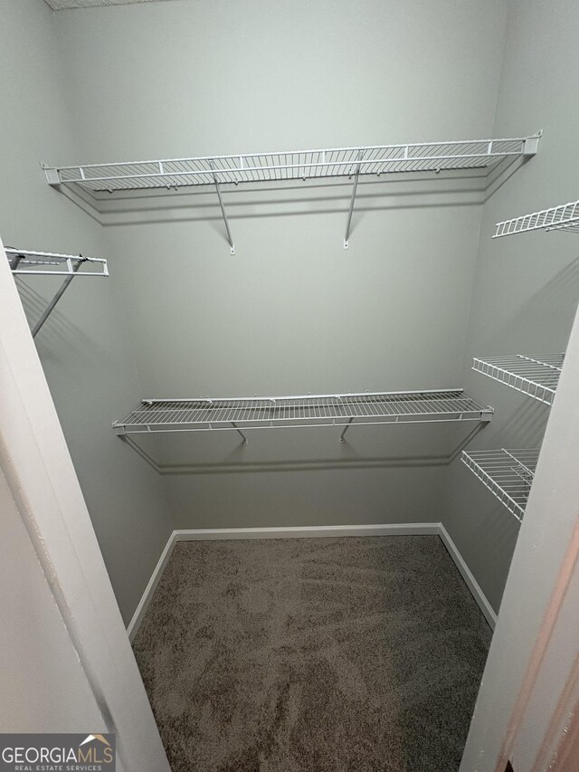 237 Shockley Way, Dallas, GA 30157 - spacious closet featuring carpet floors