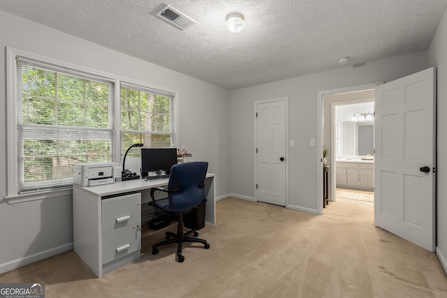 2240 Six Branches Dr, Roswell, GA 30076 - home office featuring plenty of natural light, light colored carpet, and a textured ceiling