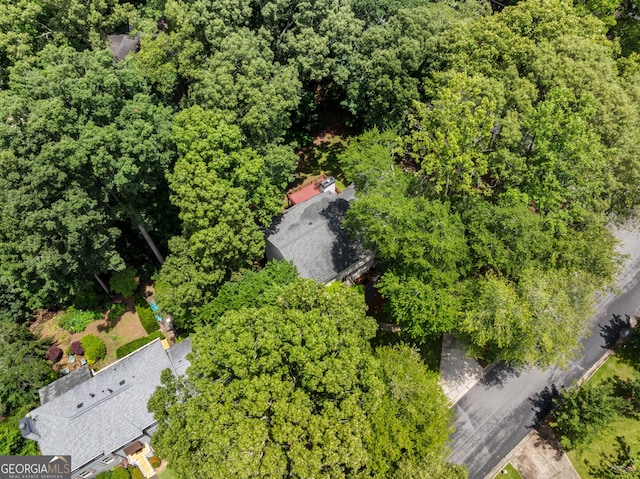 2240 Six Branches Dr, Roswell, GA 30076 - drone / aerial view