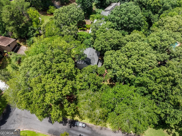 2240 Six Branches Dr, Roswell, GA 30076 - drone / aerial view