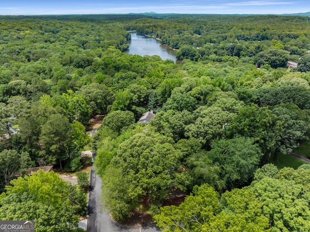 2240 Six Branches Dr, Roswell, GA 30076 - drone / aerial view of a heavily wooded area and a large body of water