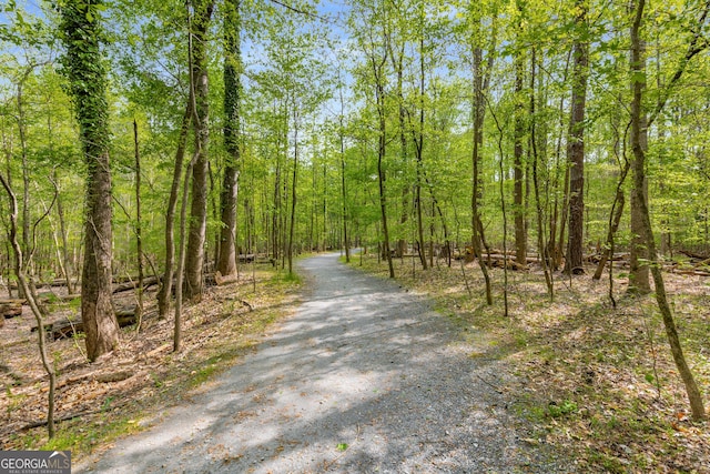 2240 Six Branches Dr, Roswell, GA 30076 - view of street