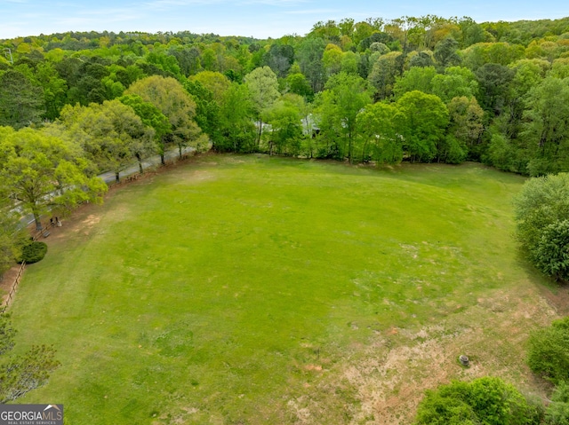 2240 Six Branches Dr, Roswell, GA 30076 - view of yard