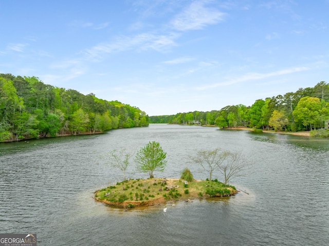 2240 Six Branches Dr, Roswell, GA 30076 - water view featuring a heavily wooded area