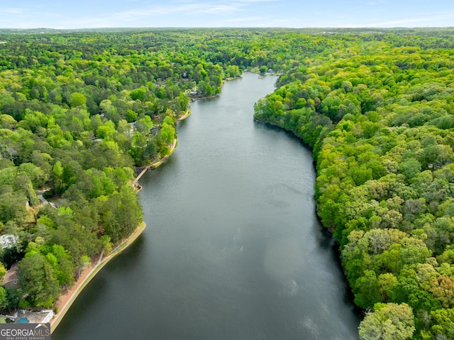 2240 Six Branches Dr, Roswell, GA 30076 - aerial view of a heavily wooded area and a large body of water