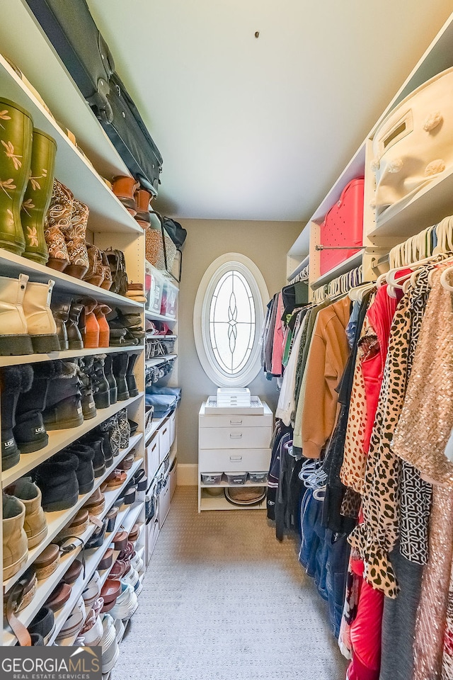750 Old Loganville Rd SW, Loganville, GA 30052 - walk in closet with carpet