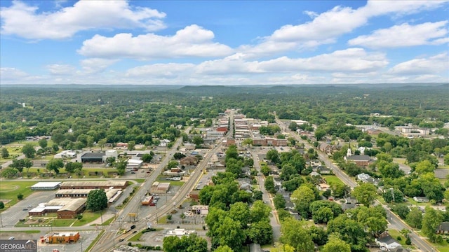226 Noyes St, Cedartown, GA 30125 - bird's eye view of a forest