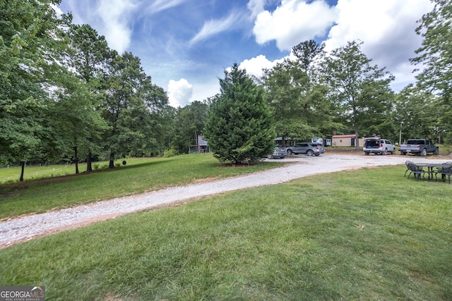 1101 Moon Rd, Shiloh, GA 31826 - view of green lawn