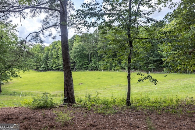 1101 Moon Rd, Shiloh, GA 31826 - view of yard