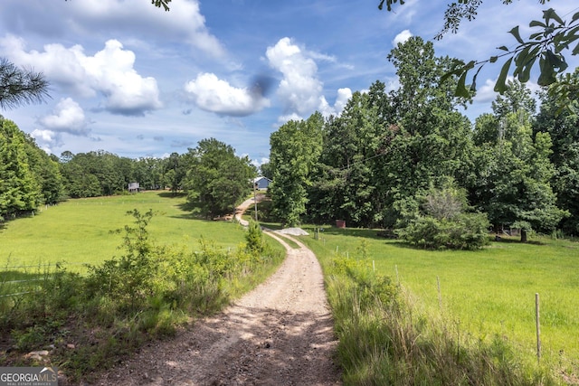 1101 Moon Rd, Shiloh, GA 31826 - view of dirt / gravel driveway featuring a view of trees