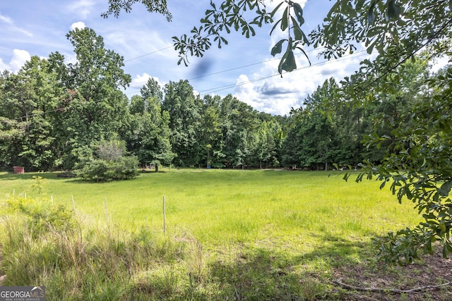 1101 Moon Rd, Shiloh, GA 31826 - view of yard with a forest view
