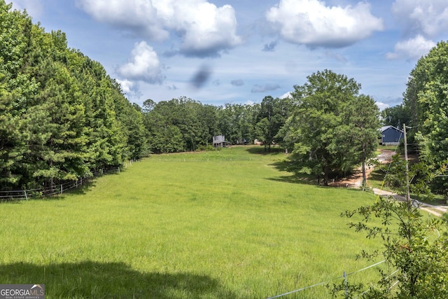 1101 Moon Rd, Shiloh, GA 31826 - view of green lawn