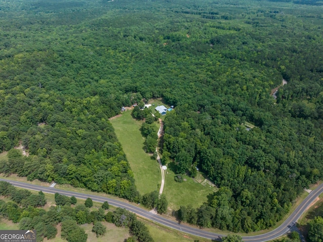 1101 Moon Rd, Shiloh, GA 31826 - aerial view of property and surrounding area featuring a forest