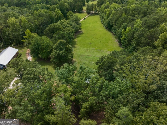 1101 Moon Rd, Shiloh, GA 31826 - bird's eye view of a heavily wooded area