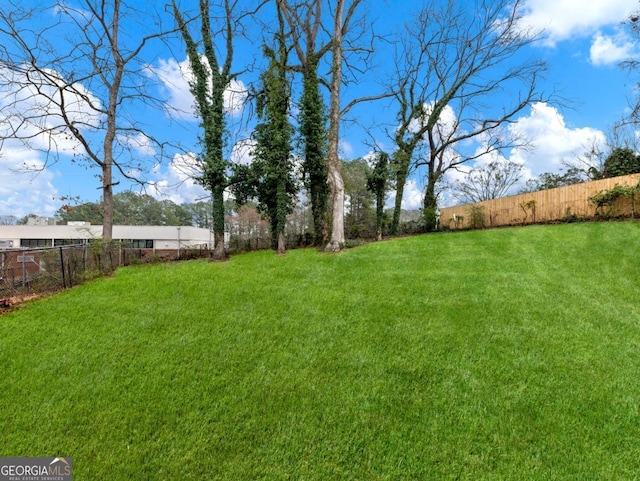 2308 Mark Trl, Decatur, GA 30032 - view of fenced yard