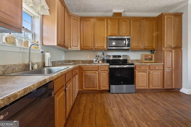 1641 Garland Mountain Trl, Waleska, GA 30183 - kitchen featuring appliances with stainless steel finishes, dark wood-style flooring, ornamental molding, a textured ceiling, and brown cabinets