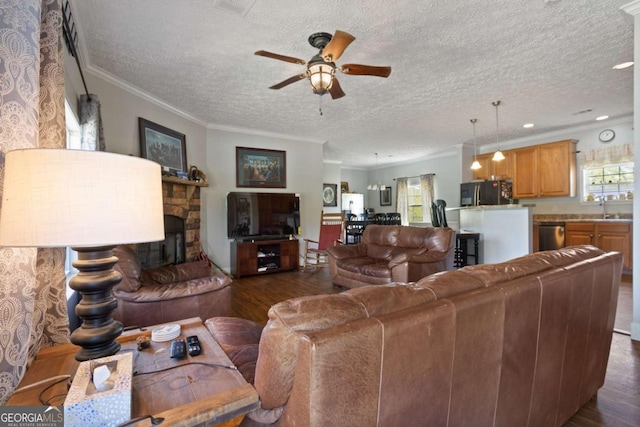 1641 Garland Mountain Trl, Waleska, GA 30183 - living room featuring dark wood-type flooring, a textured ceiling, a ceiling fan, plenty of natural light, and crown molding