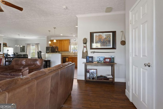 1641 Garland Mountain Trl, Waleska, GA 30183 - living area with crown molding, dark wood-style flooring, ceiling fan, and a textured ceiling