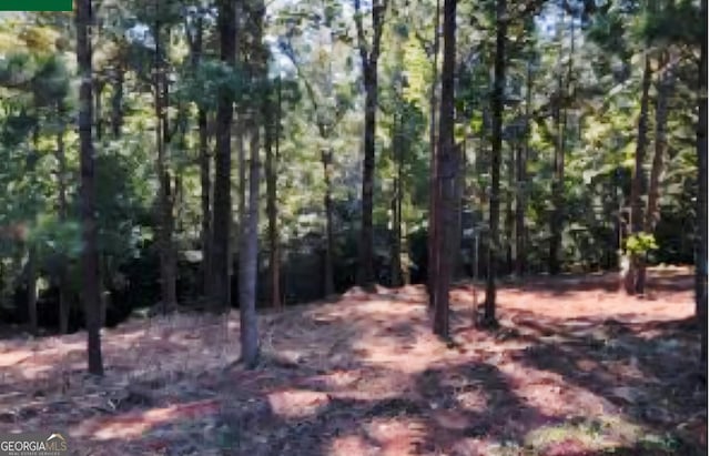 122 Laurel Rdg, Forsyth, GA 31029