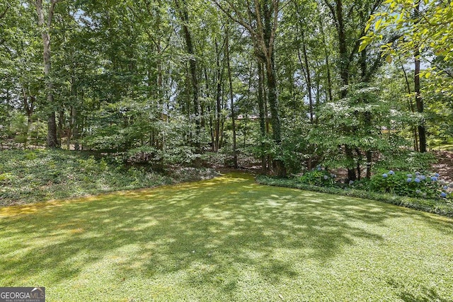 2095 Honeysuckle Dr, Cumming, GA 30040 - view of grassy yard