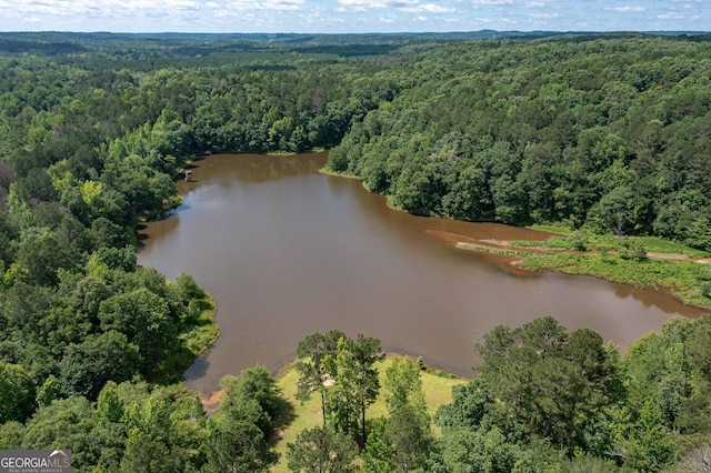 110 Serendipity Way, Dallas, GA 30157 - bird's eye view of a forest and a nearby body of water