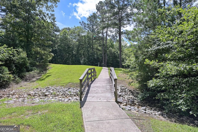 110 Serendipity Way, Dallas, GA 30157 - view of property's community featuring a lawn