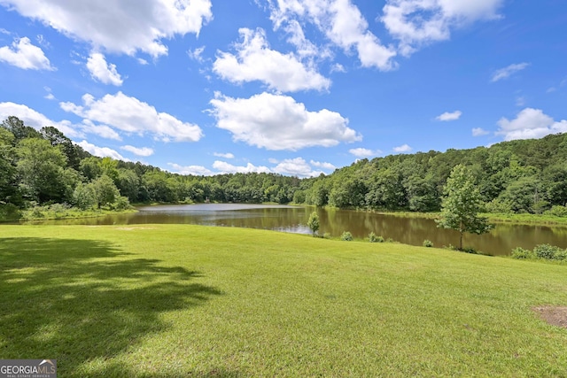 110 Serendipity Way, Dallas, GA 30157 - view of green lawn featuring a wooded view and a water view