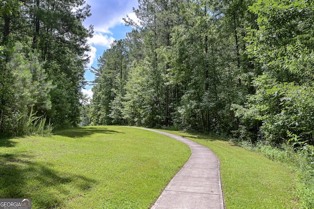 110 Serendipity Way, Dallas, GA 30157 - view of property's community with a yard and a wooded view