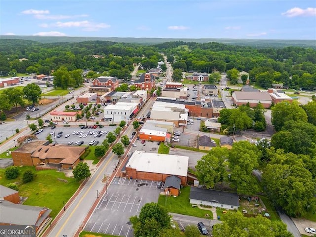 303 Hardee St, Dallas, GA 30132 - bird's eye view of a forest