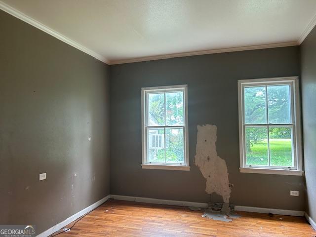 680 Thomas Rd, Trion, GA 30753 - empty room featuring healthy amount of natural light, crown molding, and light wood finished floors