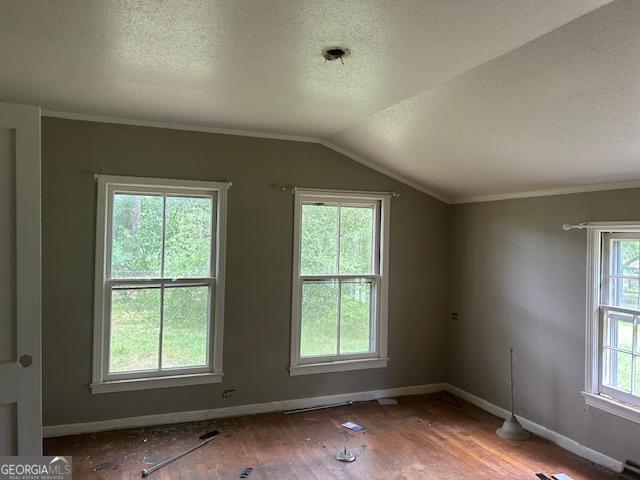 680 Thomas Rd, Trion, GA 30753 - bonus room featuring hardwood / wood-style floors, a textured ceiling, and vaulted ceiling